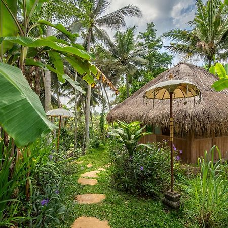 Villa Ressource Ubud Bedulu Zewnętrze zdjęcie
