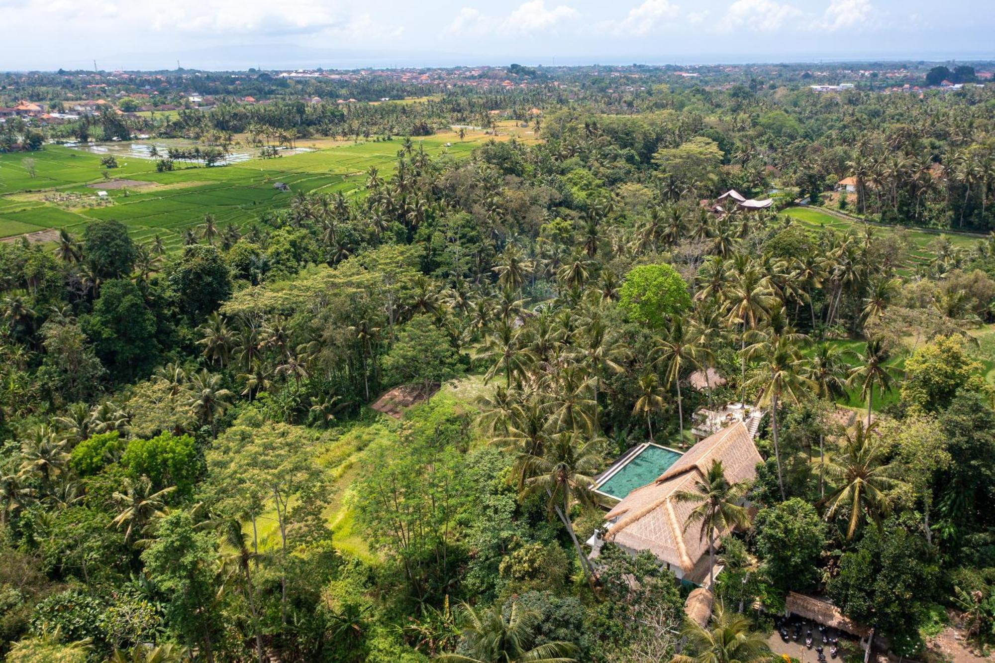 Villa Ressource Ubud Bedulu Zewnętrze zdjęcie